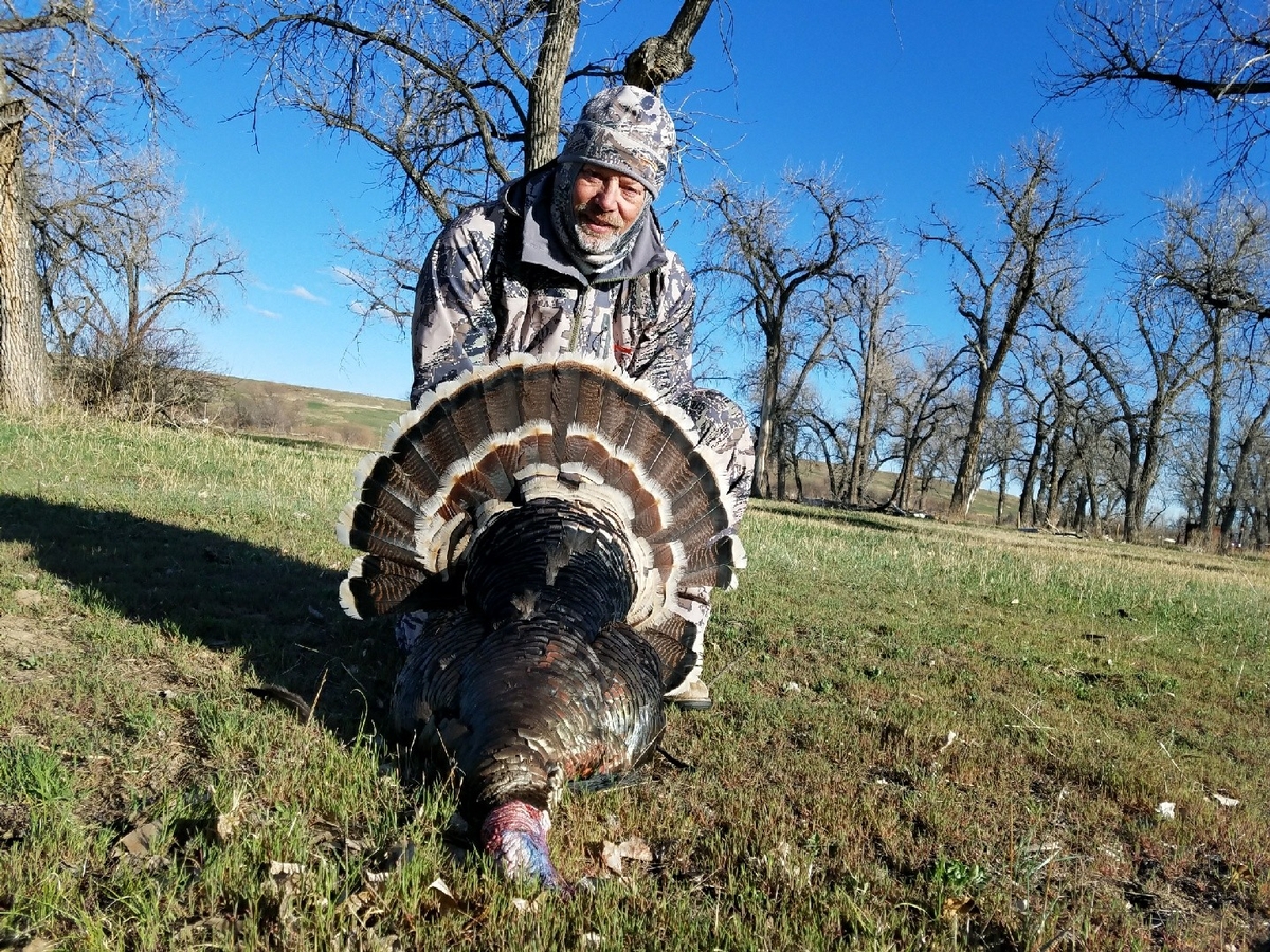 East Colorado Turkey Hunts & West Nebraska Turkey Hunting Outfitters