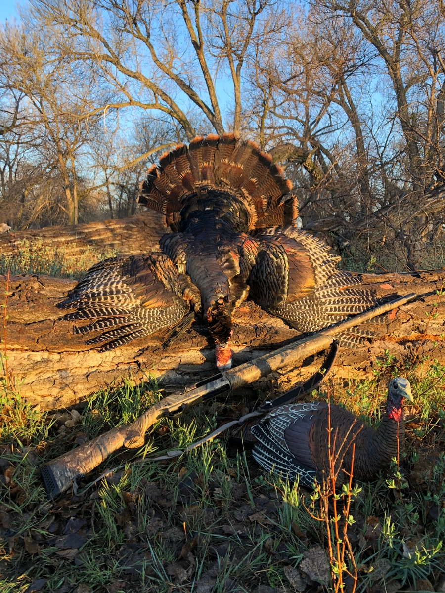 East Colorado Turkey Hunts & West Nebraska Turkey Hunting Outfitters