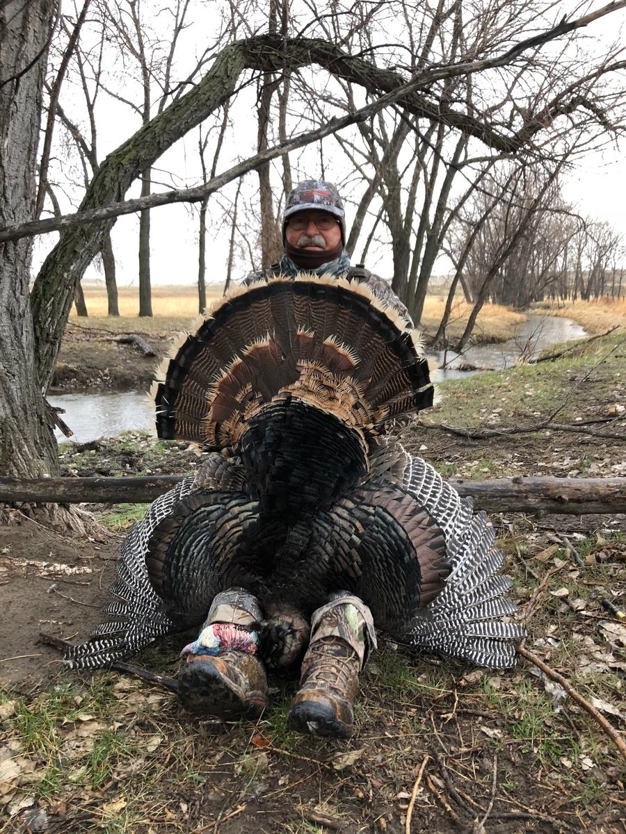 East Colorado Turkey Hunts & West Nebraska Turkey Hunting Outfitters