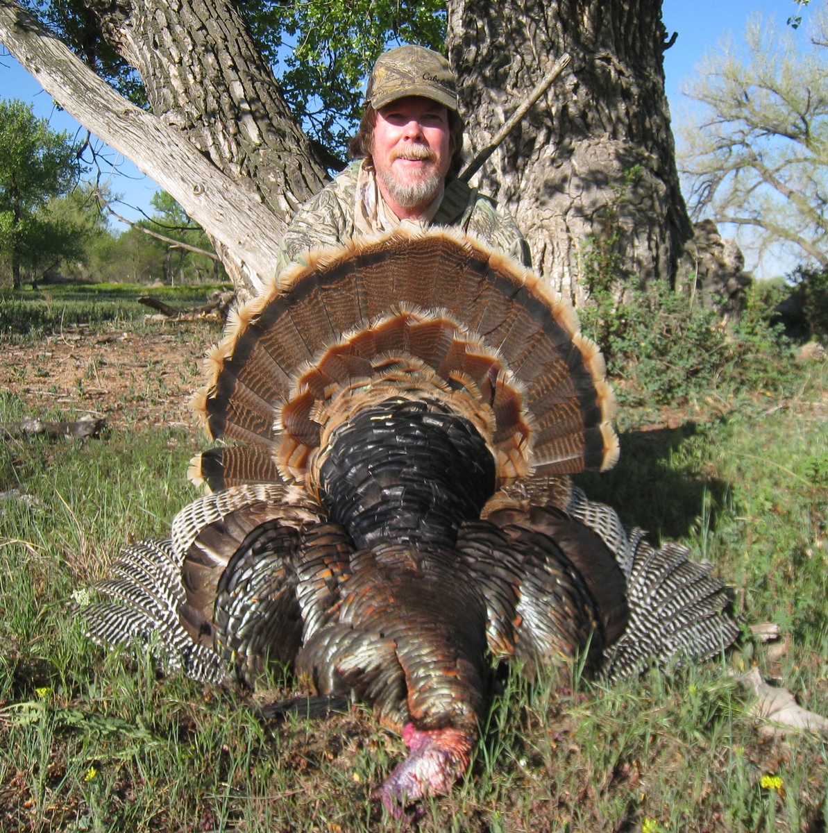 East Colorado Turkey Hunts & West Nebraska Turkey Hunting Outfitters