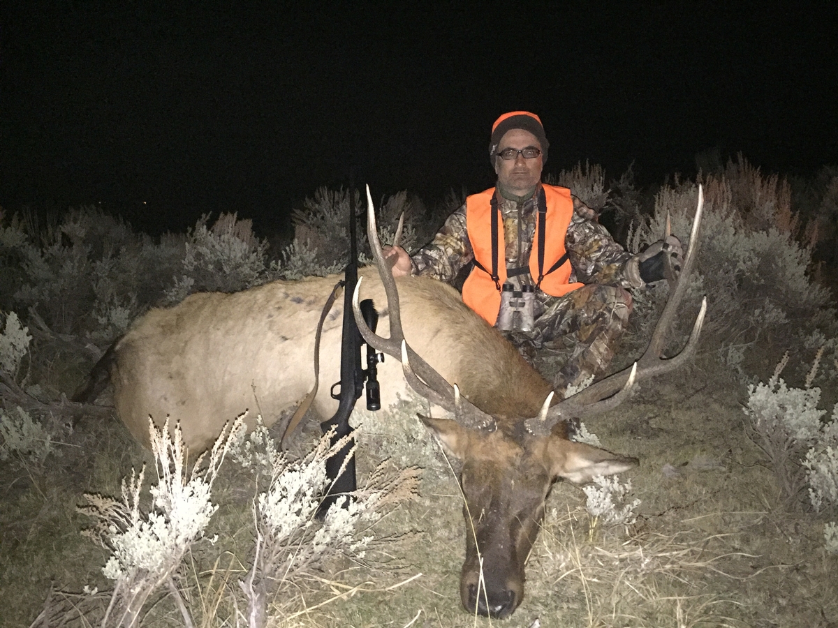 Colorado Elk Hunting Outfitters Private Ranch Colorado Elk Hunts