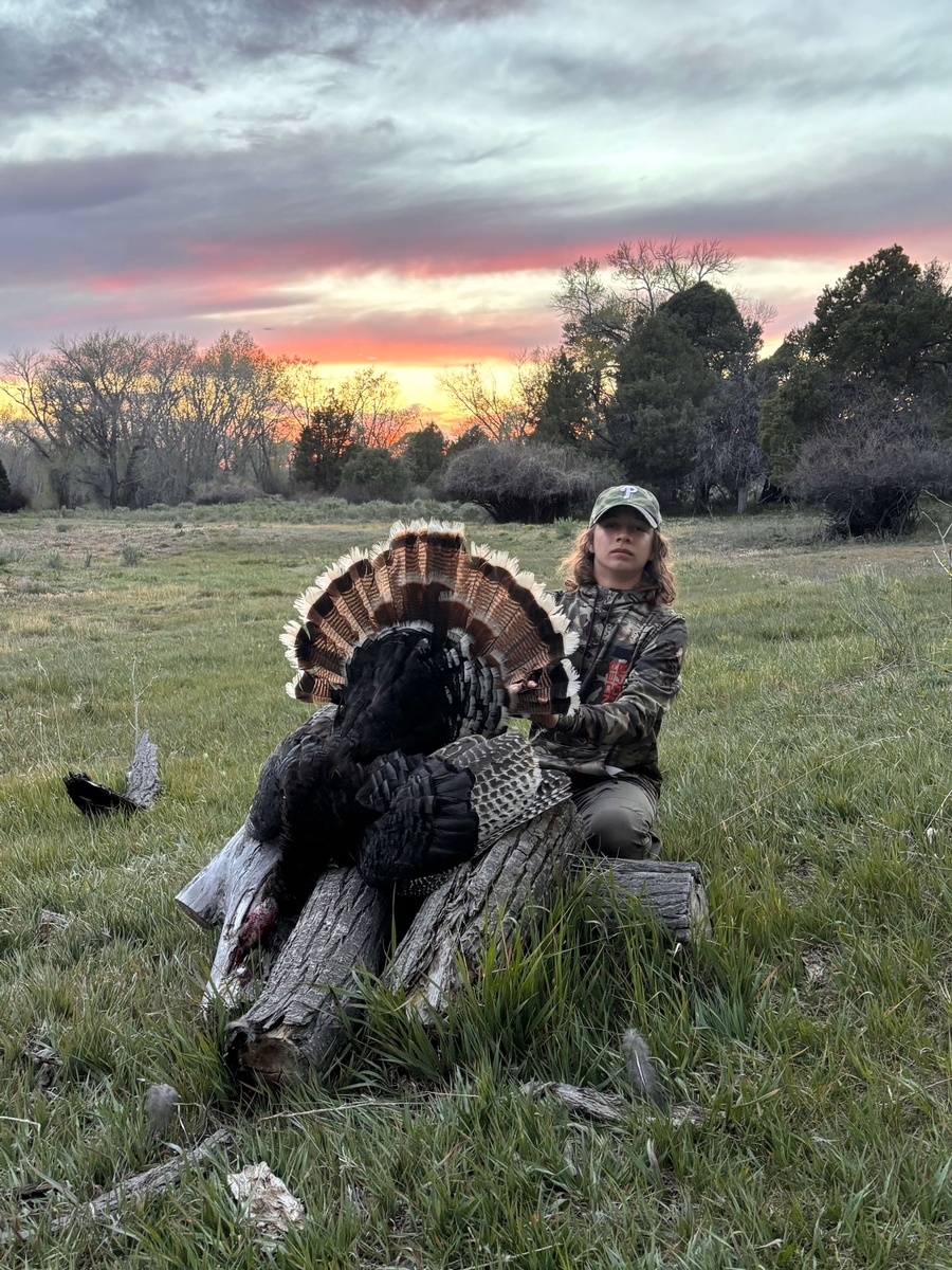 Location Merriam's Turkey Hunting in Southwestern Colorado