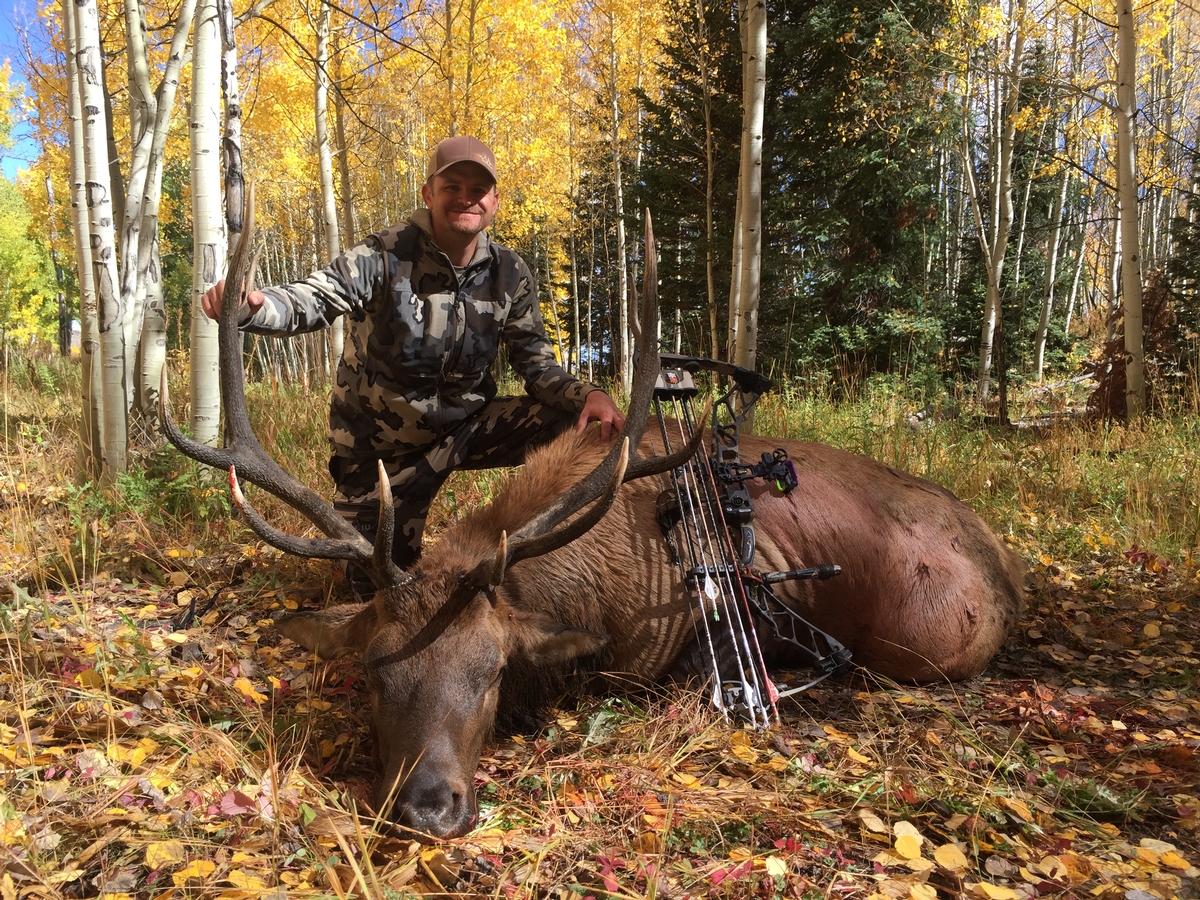 Free Range Archery Elk Hunts Colorado Guided Elk Bow Hunts